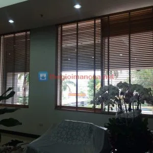 Mành sáo gỗ văn phòng