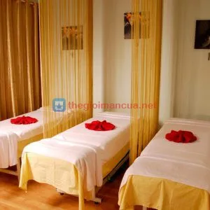 Màn sợi chỉ trang trí Spa
